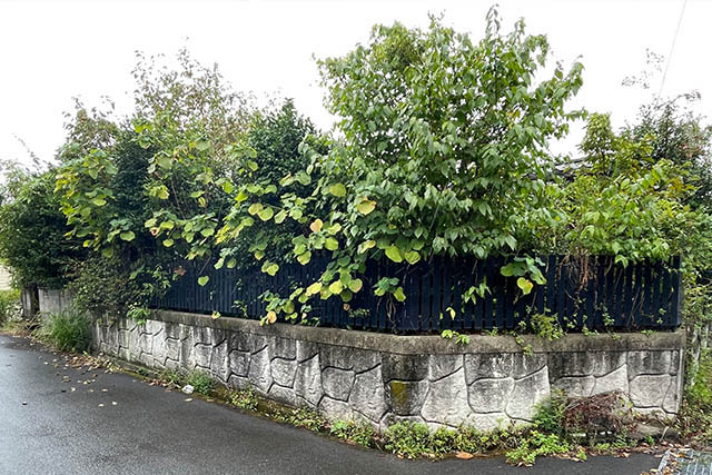 草刈りイメージ